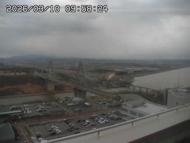 ���C�u�J��������̉f���ł�