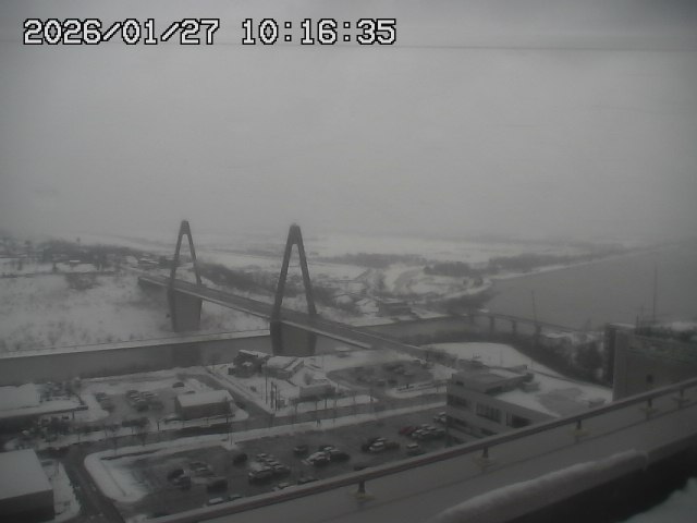 ���C�u�J��������̉f���ł�