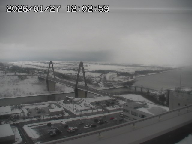 ���C�u�J��������̉f���ł�