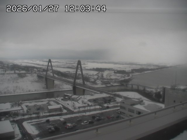 ���C�u�J��������̉f���ł�