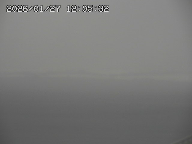 ���C�u�J��������̉f���ł�