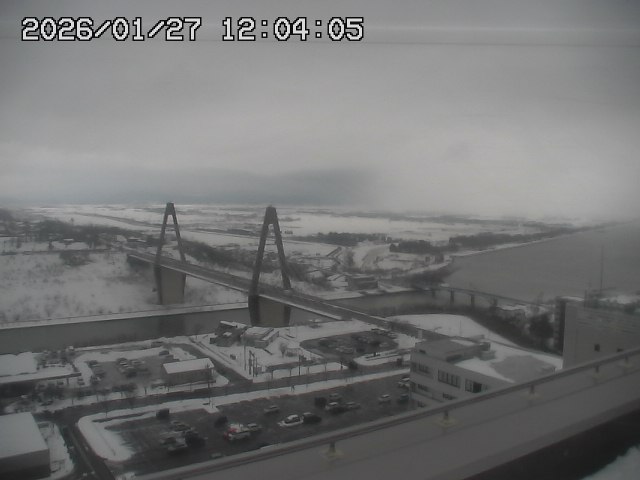 ���C�u�J��������̉f���ł�