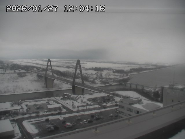 ���C�u�J��������̉f���ł�