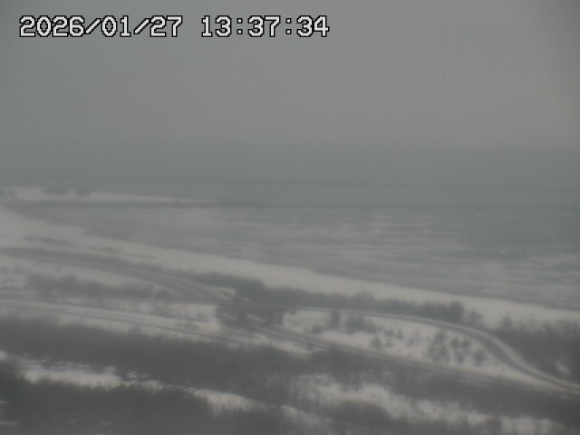 ���C�u�J��������̉f���ł�