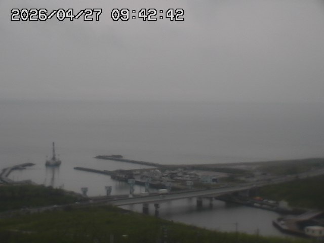 ���C�u�J��������̉f���ł�