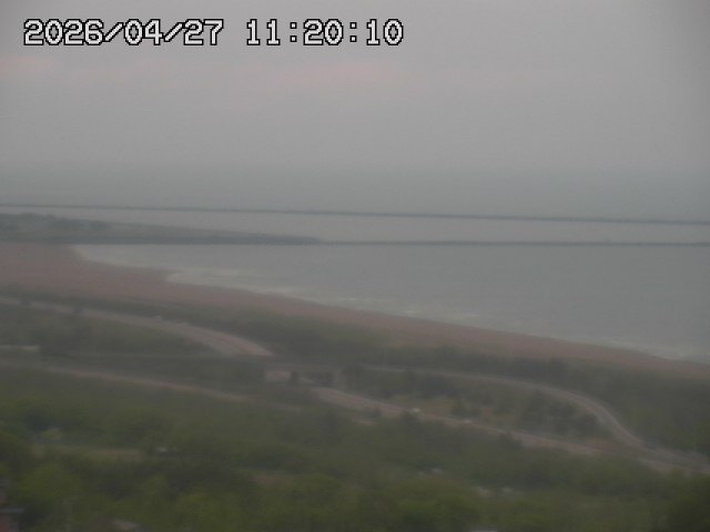 ���C�u�J��������̉f���ł�