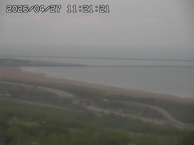 ���C�u�J��������̉f���ł�