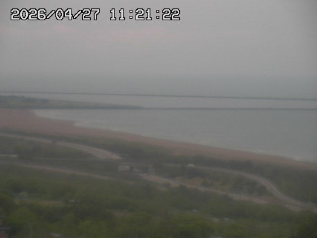 ���C�u�J��������̉f���ł�