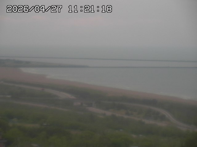 ���C�u�J��������̉f���ł�