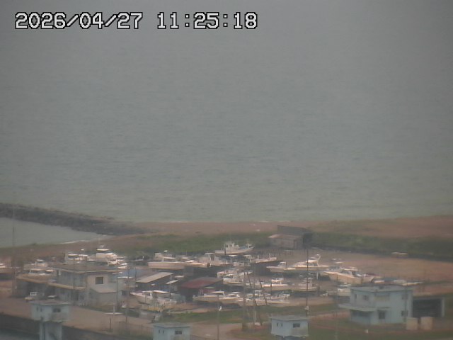 ���C�u�J��������̉f���ł�