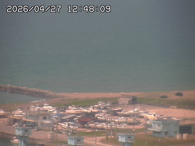 ���C�u�J��������̉f���ł�