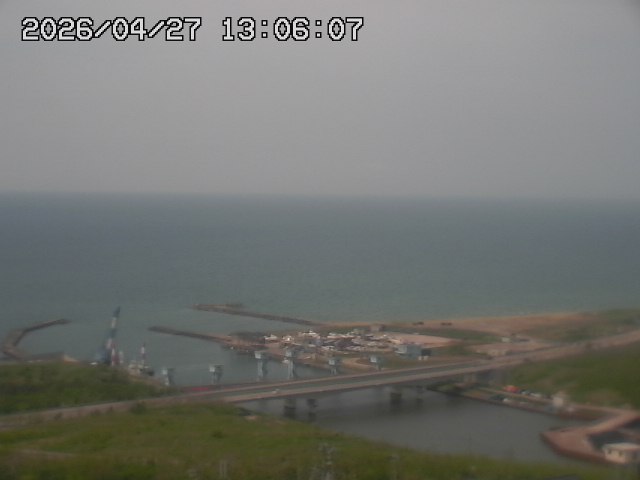 ���C�u�J��������̉f���ł�